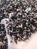 Ngũ cốc mầm cao cấp Plus 1